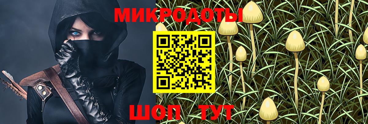 Химки  Псилоцибиновые грибы MAGIC MUSHROOMS  купить наркоту  Вход с VPN 